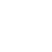 ldpe icon 1